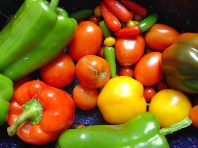 Какао бобы для похудения